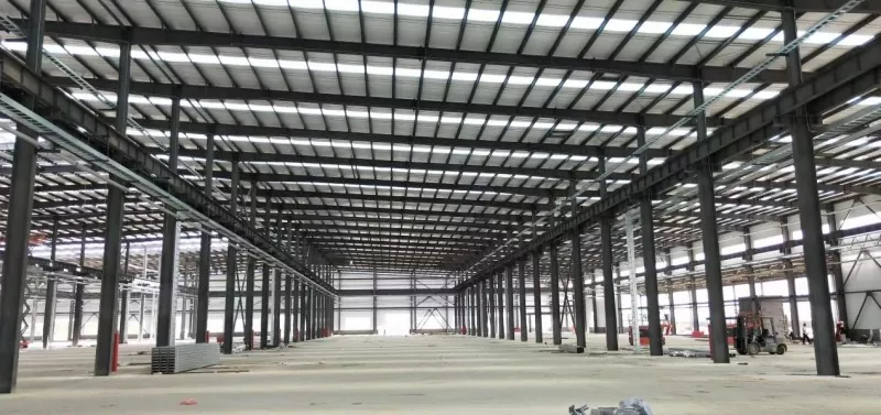 Steel Express Delivery Distribution Center Construction